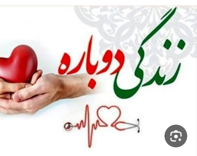 ترک اعتیاد پک ترکیبی داروی گیاهی معجزه پلاس و معجزه. 60 عددی (25 عدد معجزه پلاس و 35 عدد معجزه)