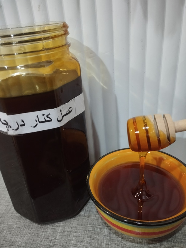 عسل کنار خالص معجزه – برداشت طبیعی از درختان کنار جنوب