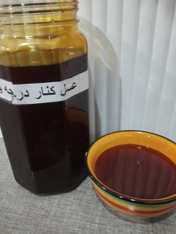 عسل کنار خالص معجزه – برداشت طبیعی از درختان کنار جنوب
