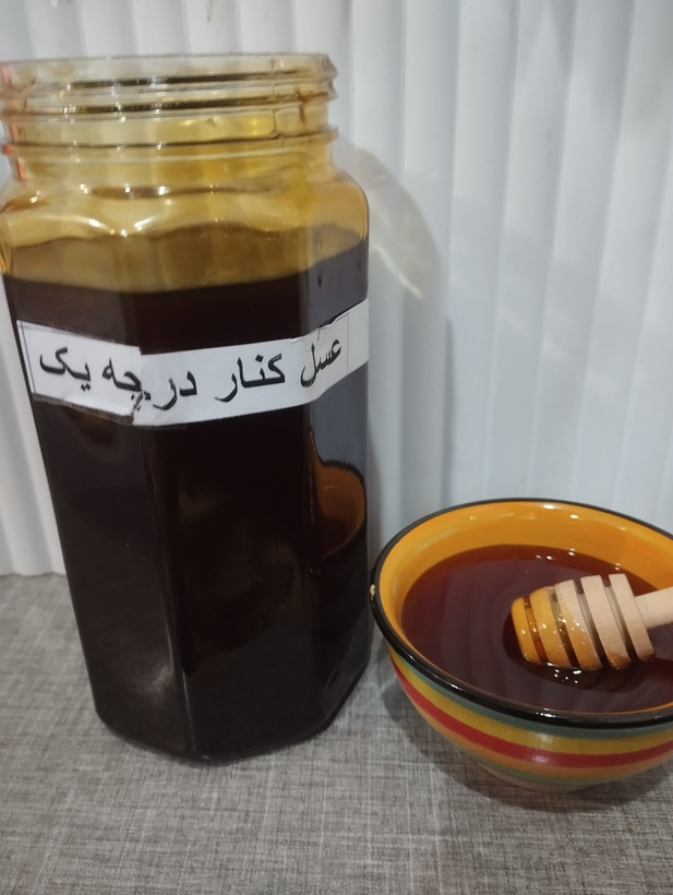 عسل کنار خالص معجزه – برداشت طبیعی از درختان کنار جنوب