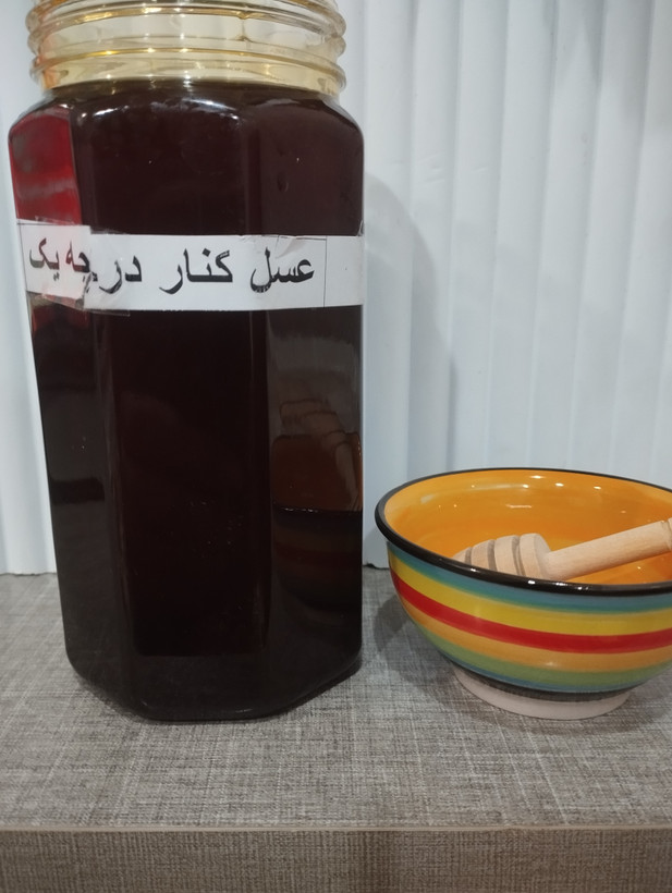 عسل کنار خالص معجزه – برداشت طبیعی از درختان کنار جنوب