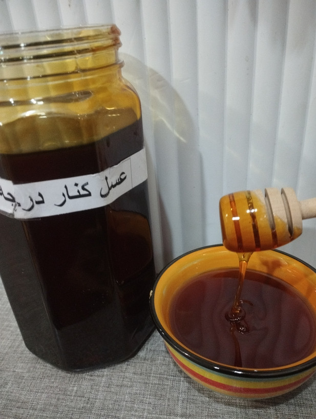 عسل کنار خالص معجزه – برداشت طبیعی از درختان کنار جنوب